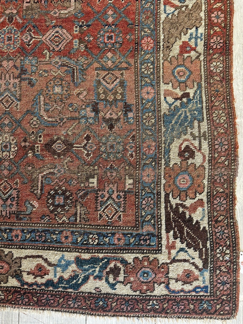 Antique Late 19th Century Persian Kurdish Gholtogh Rug 4 x 7