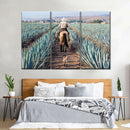 Inspecting Agave Plantation Wall Art