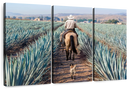 Inspecting Agave Plantation Wall Art