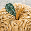 Apple Storage Basket Natural - Medium by MOMIJI US LLC