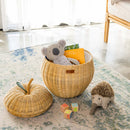 Apple Storage Basket Natural - Medium by MOMIJI US LLC