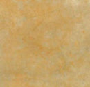 Aqua-Stain UV (4oz. sample)