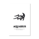 Aquarius - White Canvas
