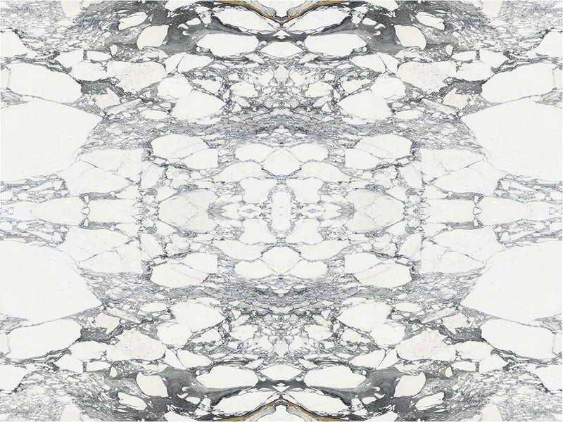 Arabescato Corchia Extra Marble