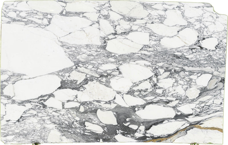 Arabescato Corchia Extra Marble