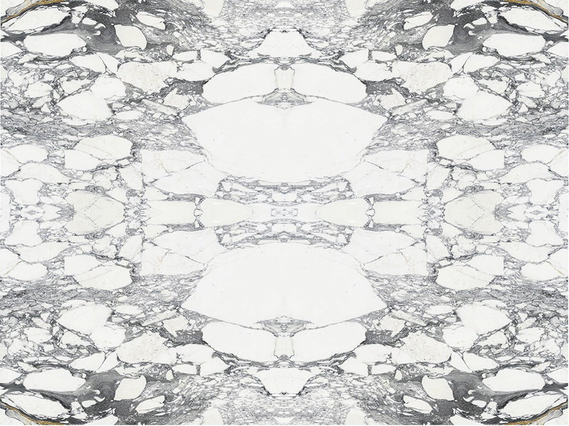 Arabescato Corchia Extra Marble