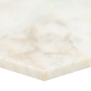 MSI ARABESCATO VENATO 8" HEXAGON HONED