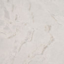 MSI Arabescato Venato Marble