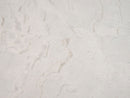 MSI Arabescato Venato Marble