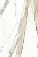 Armani Gold Raphael Quartz