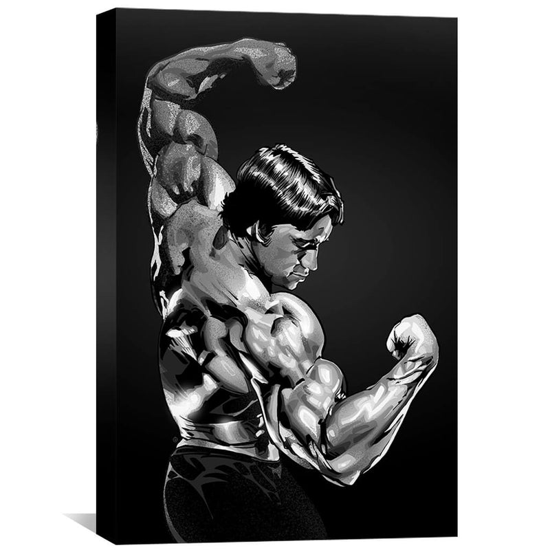 Arnold Canvas