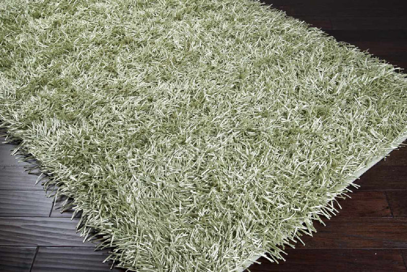 Anderson Modern Light Green Area Rug