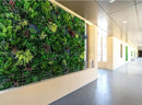 Sample Panel – Country Fern Vertical Garden (Small Sample) by Designer Plants USA