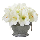 10” Amaryllis Arrangement in Bowl with Copper Trimming