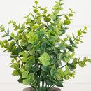 10" Artificial Baby Blue Eucalyptus in Decorative Planter - Set of 3