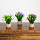 10” Artificial Tulip Plant in Ceramic Planter -Set of 3