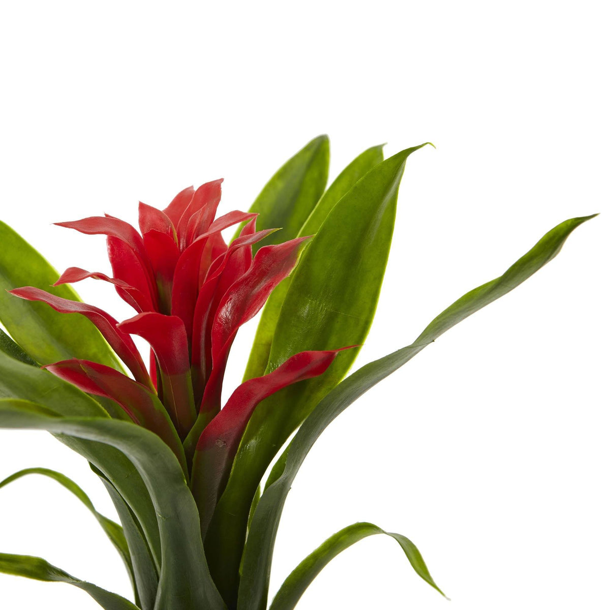 10” Bromeliad Artificial Flower (Set of 6), photo 5 of 8