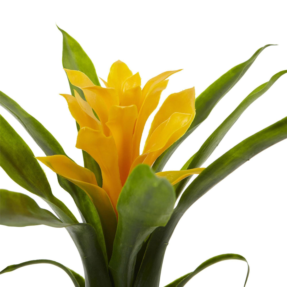 10” Bromeliad Artificial Flower (Set of 6), photo 8 of 8