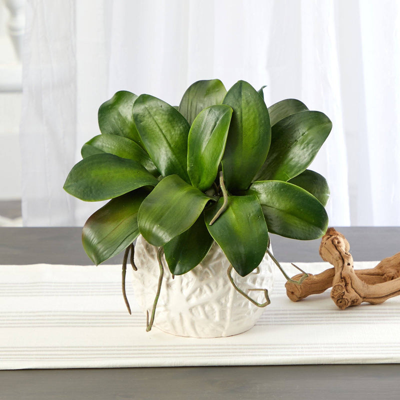 10” Phalaenopsis Orchid Leaf Artificial Plant in White Planter, photo 3 of 3