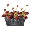10” Succulent Artificial Plant in Embossed Tin Planter