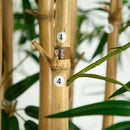 11’ Artificial Bamboo Tree with Real Bamboo Trunks