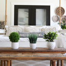 11” Artificial Boxwood Plant with Decorative Planter