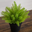 11” Artificial Mini Fern Plant