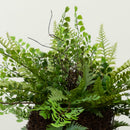 Mixed Fern w/Twig and Moss Basket by Nearly Natural