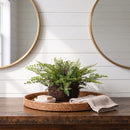 Mixed Fern w/Twig and Moss Basket by Nearly Natural