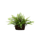 Mixed Fern w/Twig and Moss Basket by Nearly Natural