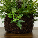 Mixed Fern w/Twig and Moss Basket by Nearly Natural