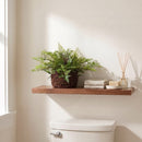 Mixed Fern w/Twig and Moss Basket by Nearly Natural