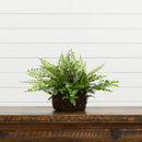 Mixed Fern w/Twig and Moss Basket by Nearly Natural