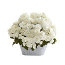 11” Begonia Artificial Arrangement in Decorative Planter
