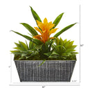 11” Bromeliad and Agave Plant in Black Tin Planter