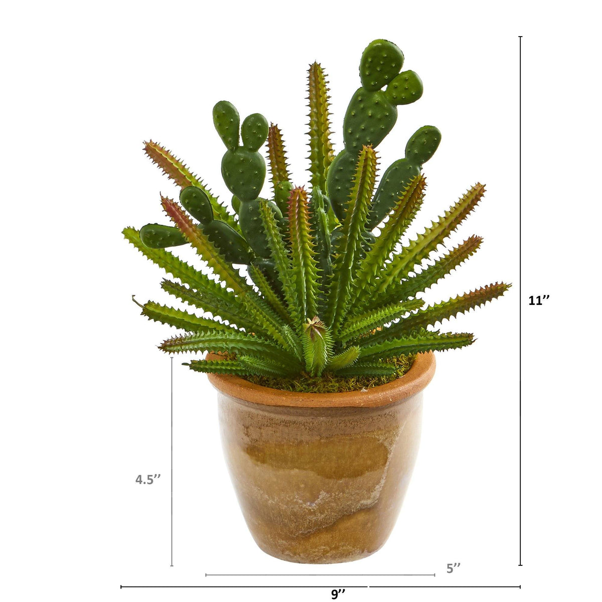 11” Cactus Artificial Plant in Ceramic Planter, photo 2 of 2