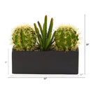 11” Cactus Succulent Artificial Plant in Black Planter