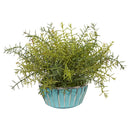 11” Rosemary Artificial Plant in Turquoise Bowl with Silver Trimming