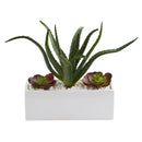 12” Aloe and Echeveria Succulent Artificial Plant in White Planter