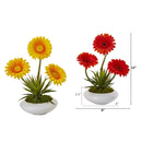 12” Gerber and Succulent Arrangement in Vase (Set of 2)