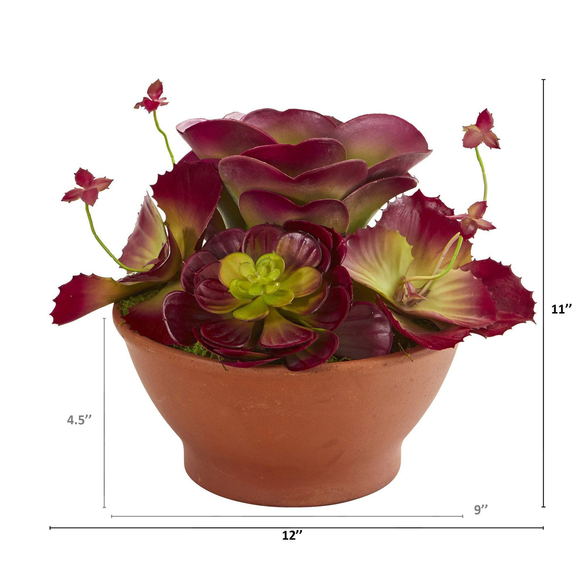 12” Mixed Succulent Artificial Plant in Terra-Cotta Planter, photo 2 of 2
