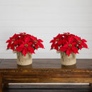 13" Artificial Poinsettia Arrangement in Burlap Planter - Set of 2