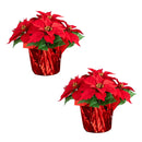 13" Artificial Poinsettia Arrangement in Red Wrapped Planter - Set of 2
