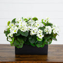 Artificial Geranium in Rectangular Planter UV Resistant (Indoor/Outdoor) by Nearly Natural