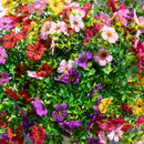 13" UV Daisy Flower Bush Plant (Indoor/Outdoor)- Set of 12