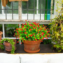 13" UV Resistant Artificial Flowering Mini Rose Bush (Indoor/Outdoor) - Set of 12