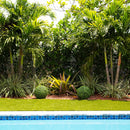 14” Artificial Boxwood Ball Topiary with Integrated Ground Stake UV Resistant - Set of 2