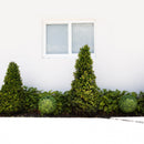 14” Artificial Boxwood Ball Topiary with Integrated Ground Stake UV Resistant - Set of 2