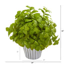14” Basil Artificial Plant in White Planter with Silver Trimming