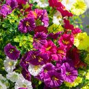 14" UV Resistant Artificial Morning Glory Bush (Indoor/Outdoor) - Set of 12